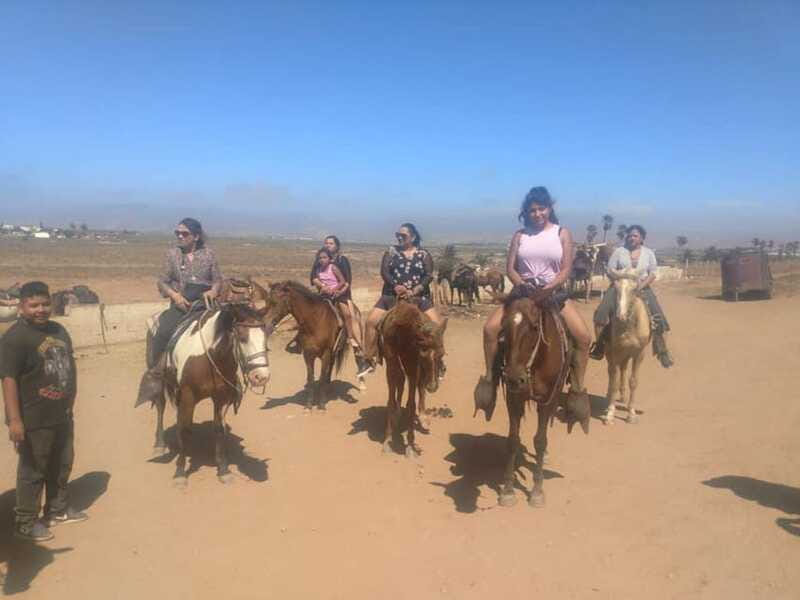 Ensenada: La Bufadora and Playa Hermosa Horseback Riding - Unique Features: Tequila and Mezcal Tasting