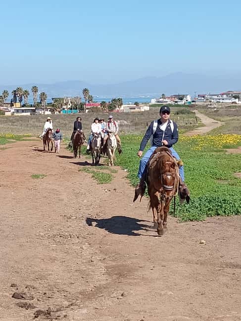 Ensenada: La Bufadora and Playa Hermosa Horseback Riding - Who Should Consider This Tour?
