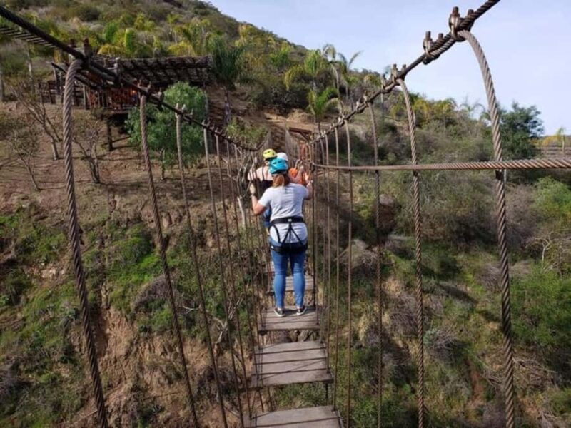 Ensenada: Las Cañadas Zipline and Suspension Bridge Tour - Las Cañadas Adventure Park: The Heart of the Experience