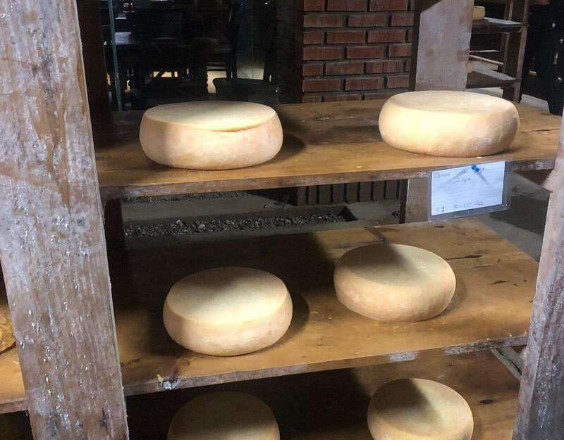 Ensenada: Ojos Negros Valley Cheese and Wine Tasting Tour - Key Points