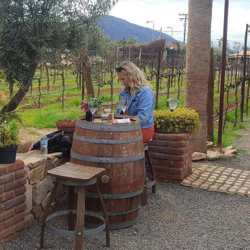 Ensenada: Ojos Negros Valley Cheese and Wine Tasting Tour - Visiting Bodegas de San Rafael: The Pioneer of Regional Wines