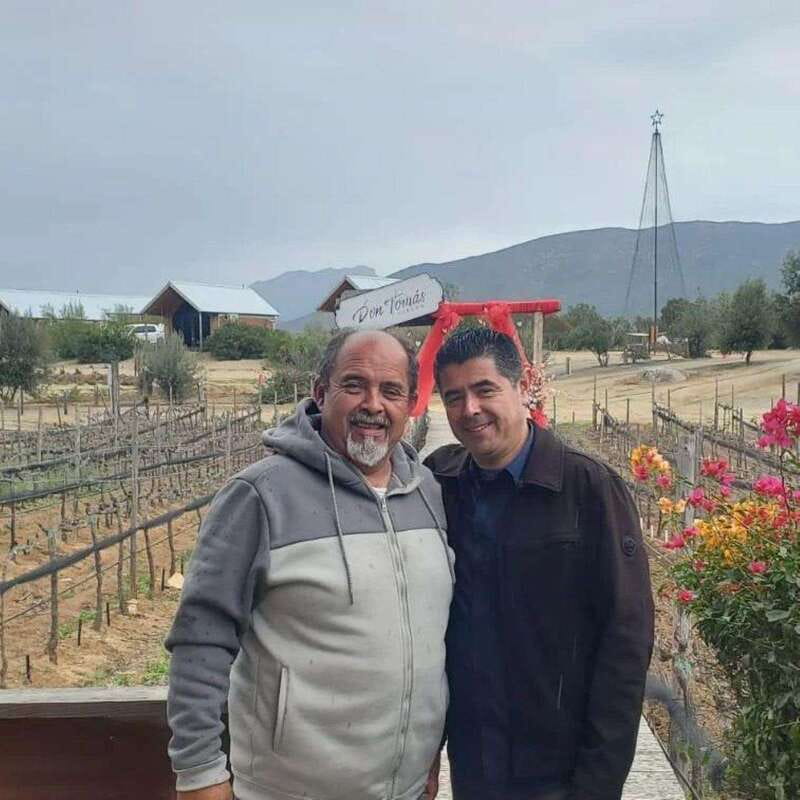 Ensenada: Old Wine Route Tour with 4 Winery Visits - Discover the Unique Wineries of Ensenada’s Old Wine Route