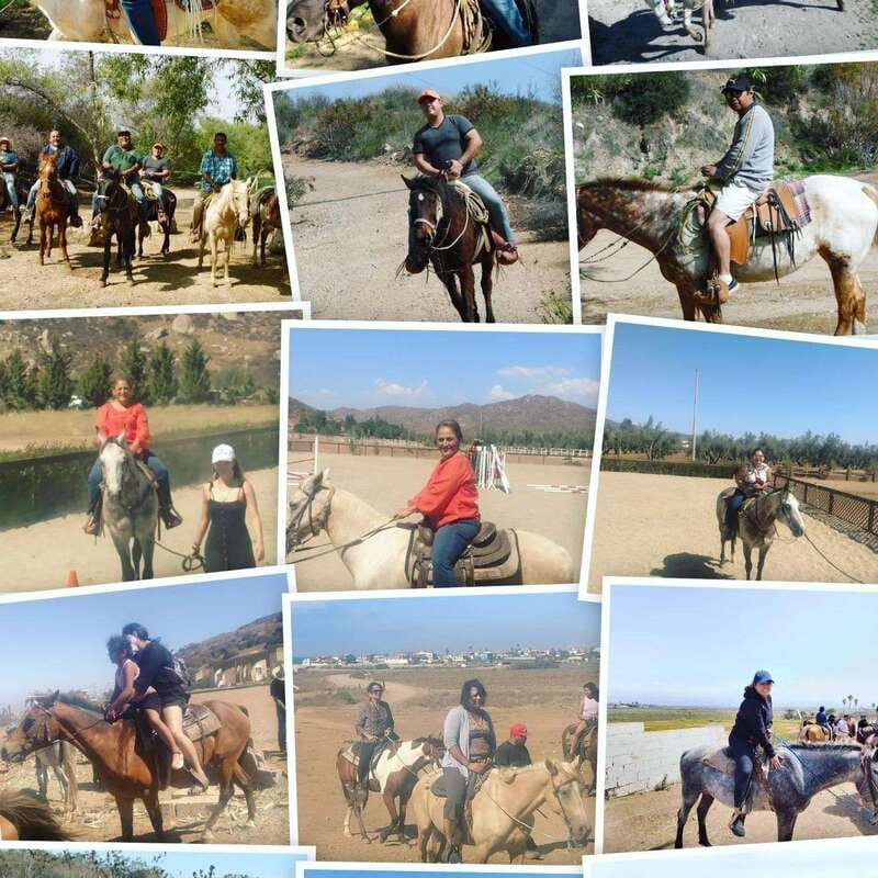 Ensenada: Punta Banda Horseback Riding Tour - Beach Riding on Baja’s Sandy Shores