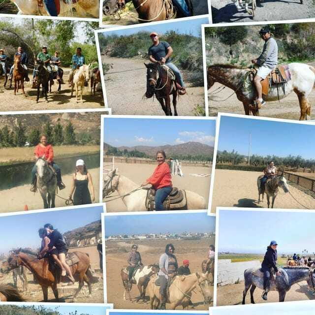 Ensenada: Punta Banda Horseback Riding Tour - Why Choose This Horseback Tour in Ensenada