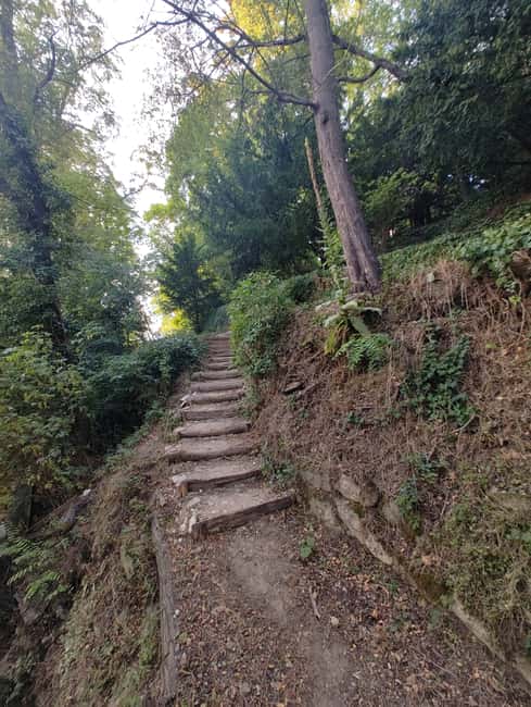 Enter the painting, touch the roots and go back in time ! - Enter Van Gogh’s Last Scene for Just $23