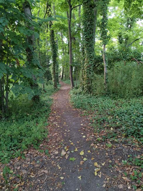 Enter the painting, touch the roots and go back in time ! - Walking the Roots and Reaching the Wheat Fields