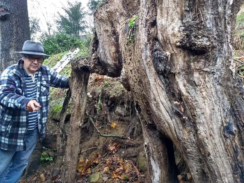 Enter the painting, touch the roots and go back in time ! - Logistics and Meeting Details