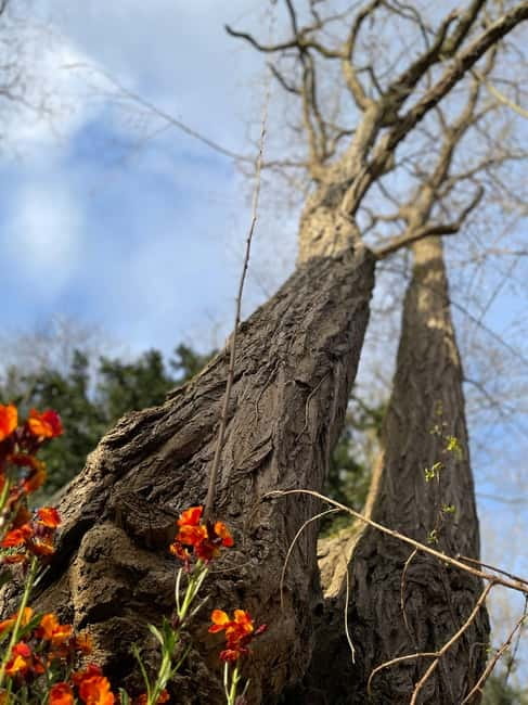 Enter the painting, touch the roots and go back in time ! - Visiting Auvers-sur-Oise and Its Artistic Environment