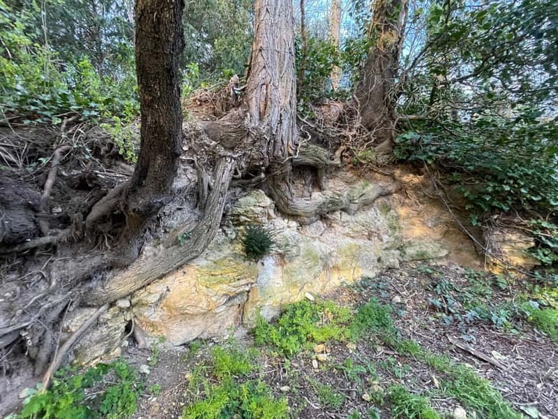 Enter the painting, touch the roots and go back in time ! - The Experience Provider and Its Role