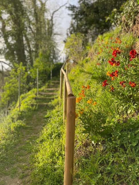 Enter the painting, touch the roots and go back in time ! - The Value of the Tour and Its Limitations