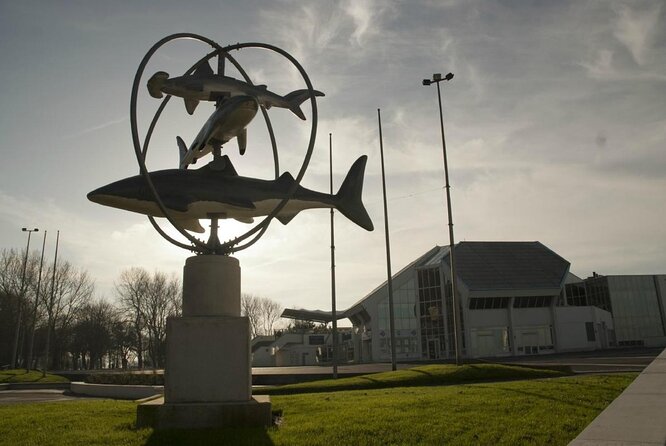 Entrance Ticket Nausicaa, the biggest aquarium in Europe - Key Points