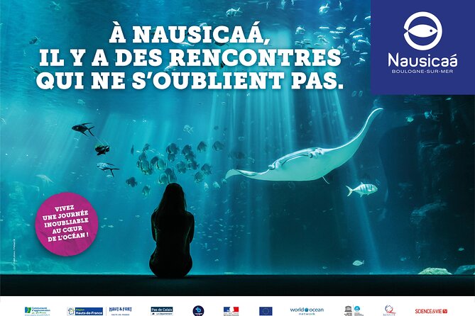Entrance Ticket Nausicaa, the biggest aquarium in Europe - Nausicaá: Europe’s Largest Aquarium in Arras