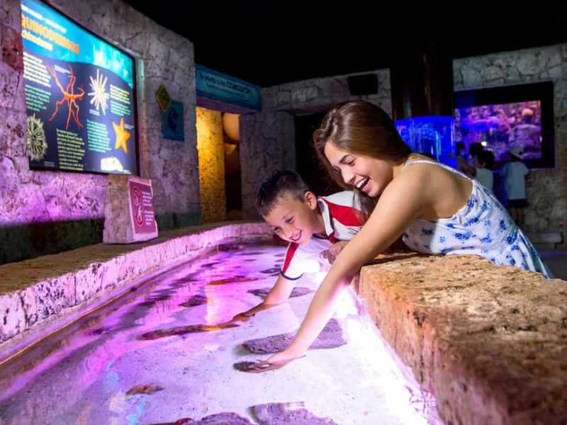 Entrance to Xcaret Adventure Park - Cultural Attractions and Authentic Mexican Experiences