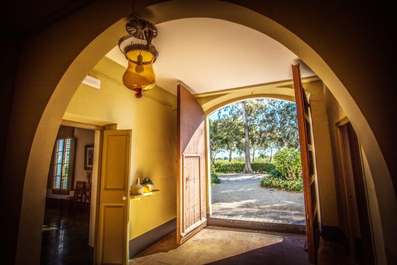 Entry ticket | Fundació Mas Miró - Mont-roig del Camp - Key Points