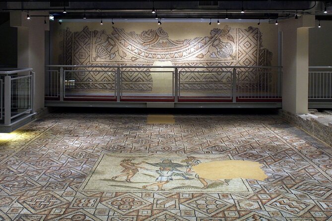 Entry Ticket to the Domus of Stone Mosaics Archaeological Site - Highlights of the Stone Carpet Mosaics