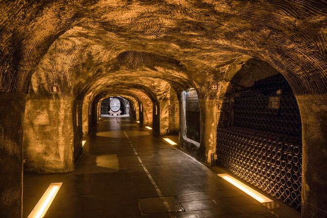 Epernay and Reims Champagne Private Day Trip from Paris - Visiting Heritage Cellars of Veuve Clicquot or Pommery