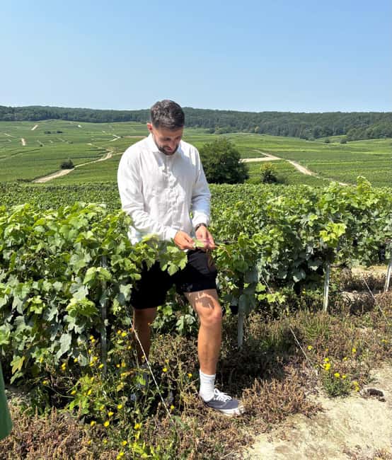 Epernay : Atypical Champagne tasting with a great view - Discovering Épernay’s Atypical Champagne Tasting Experience