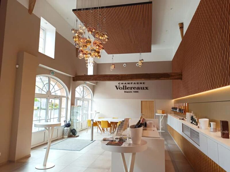 Epernay: Guided Tour of Champagne Cellar with Tastings - Accessibility and Practical Tips for Visitors