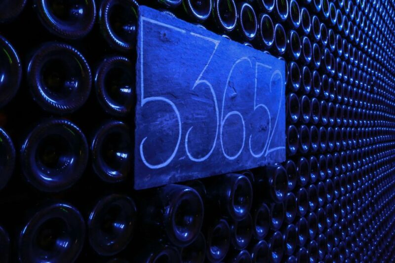 Epernay: Winery and Cellar Tour with Champagne Tasting - Who Will Appreciate This Tour Most?