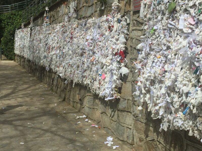 Ephesus Excursion For Cruisers - Relaxed Return Journey to Izmir with Personalized Service