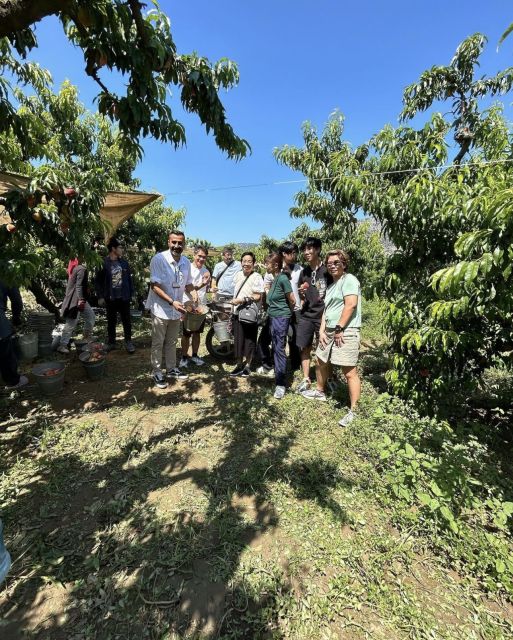 Ephesus Full-Day Tour from Kusadasi or Selcuk - The Logistics: Pickup, Transport, and Group Size