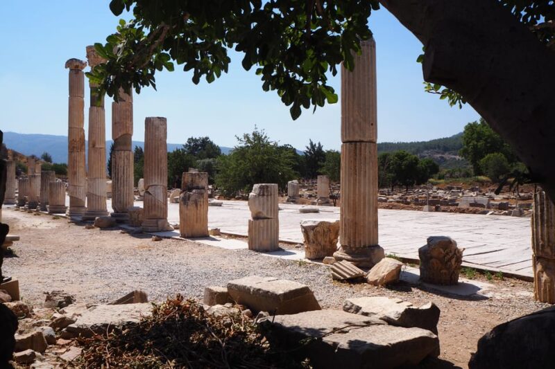 Ephesus: Half-Day Tour from Kusadasi or Izmir - Visiting the Temples of Artemis and Hadrian
