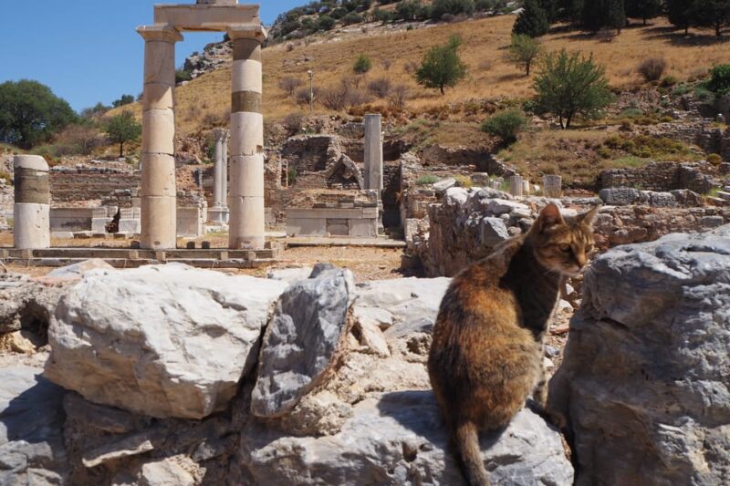 Ephesus: Half-Day Tour from Kusadasi or Izmir - Comparing This Tour to Other Ephesus Options