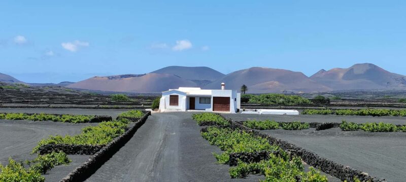 Epic E-Bike Tour: From North to South, Discover Lanzarote Like Never Before - Exploring Cliffs and Atlantic Ocean Views in the South