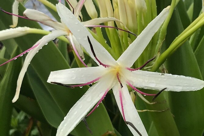 Epic Waterfall Adventure - GO PRO 10 footage included - Flexibility and Customization