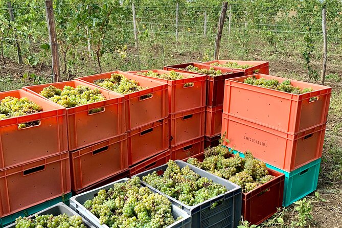 Epicurean Discovery Tour with Wine & Local Specialties - Who Will Appreciate This Tour Most