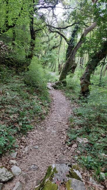 Epirus: Zagori Rafting Tour with viewpoints,lunch and photos - The Bridge of Papigo and the Starting Point for Rafting