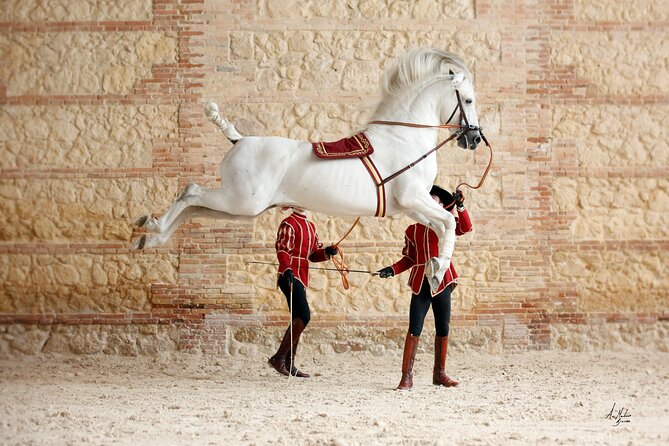 Equestrian Show Royal Stables of Córdoba - Key Points