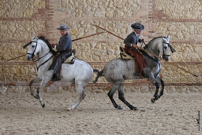 Equestrian Show Royal Stables of Córdoba - Accessibility and Practical Tips