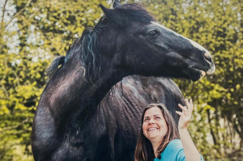 Equicoaching - experience the connection with horses in Normandy - Key Points