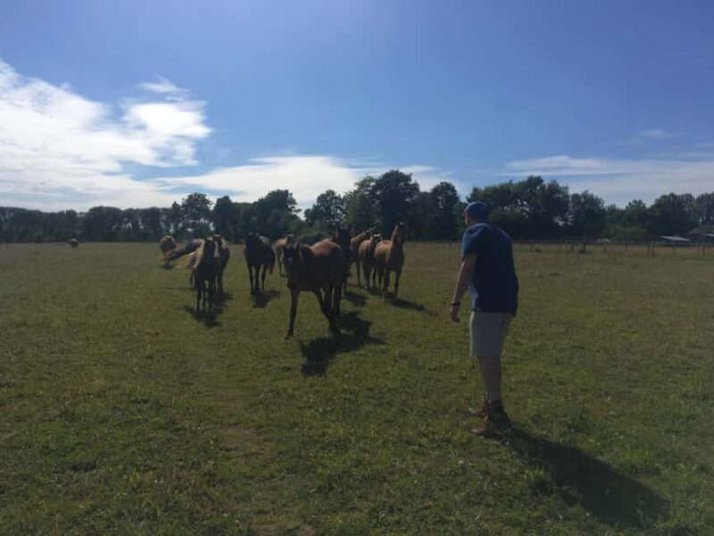 Equicoaching - experience the connection with horses in Normandy - Practicalities of the Normandy Equicoaching Tour