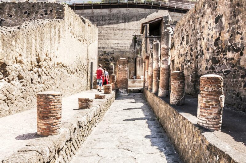 Ercolano: Herculaneum Entry Ticket with Optional Audio Guide - Discover the Ancient City of Herculaneum with Your Entry Ticket
