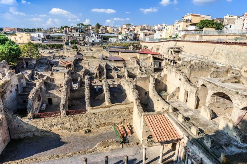 Ercolano: Herculaneum Entry Ticket with Optional Audio Guide - Who Will Enjoy This Tour Most?