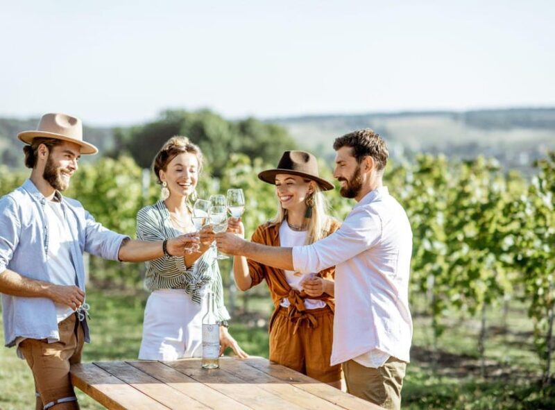 Ercolano vineyards, view cellar wine tasting and brunch - Ercolano Vineyards with View Cellar Wine Tasting and Brunch: A Flavorful Journey in Campania