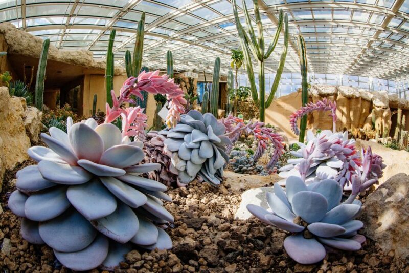 Erfurt: Egapark garden Entrance Ticket - Frequently Asked Questions