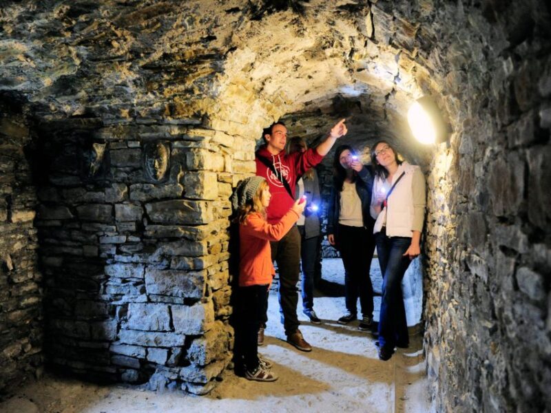 Erfurt: Guided Tour of The Petersberg Citadel - Meeting at the Visitor Center and Tour Logistics
