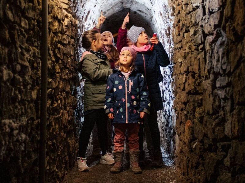 Erfurt: Guided Tour of The Petersberg Citadel - Cancellation Policy and Booking Flexibility