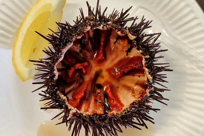 Ericeira Private Tour: 10 Tastings Food Tour - The Significance of Surfing and Local Culture