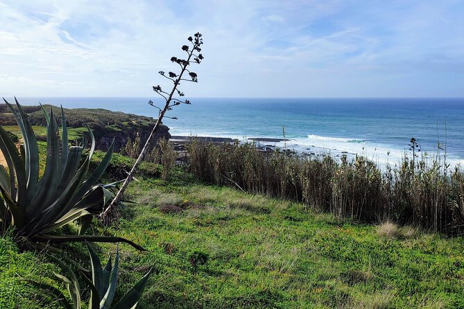 Ericeira Private Tour: 10 Tastings Food Tour - What Sets This Tour Apart from Others in Ericeira