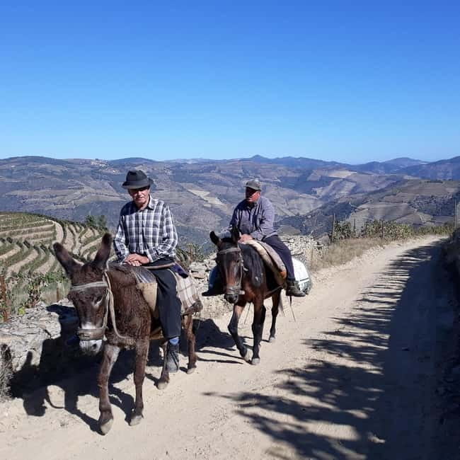 Ervedosa do Douro: Guided Walking Tour with Picnic Lunch - The Picnic Lunch at the Guide’s House