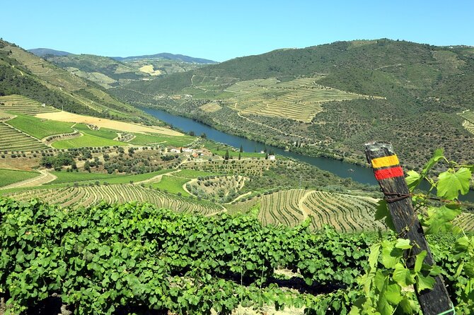 Ervedosa do Douro Walking Tour - Key Points