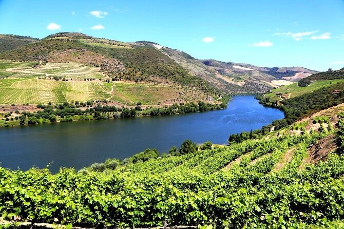 Ervedosa do Douro Walking Tour - Practical Details and Meeting Arrangements