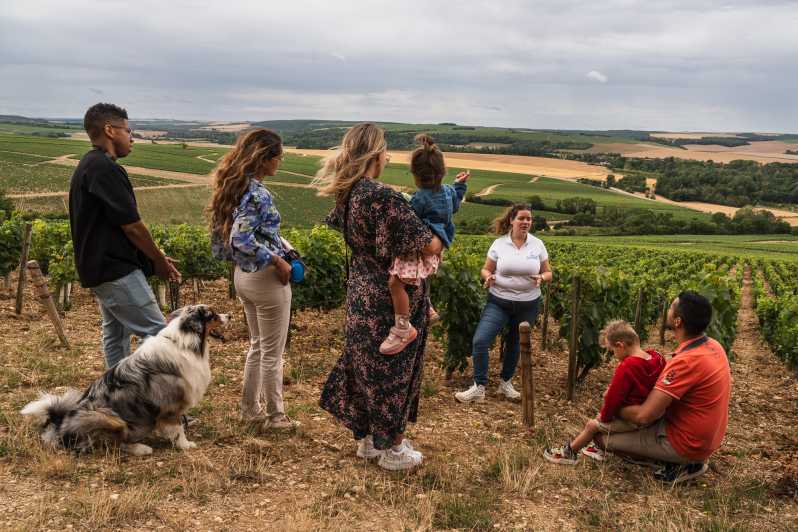 Escapade and tasting in the Chablis vineyards - Discover the Chablis Vineyards with a Guided Tasting Tour