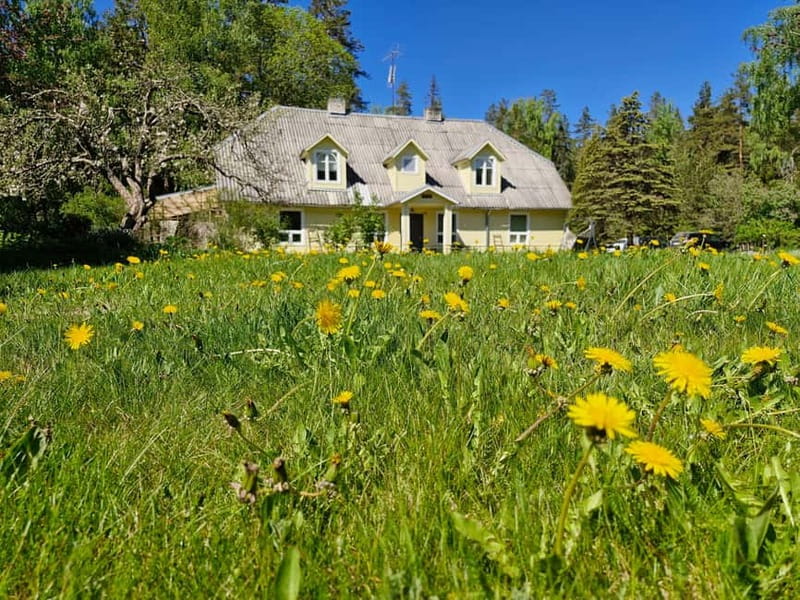 Escape from Tallinn Hike, Swim, Forage & Cuddle Sled Dogs - Foraging or Bog Swimming: Choose Your Nature Experience