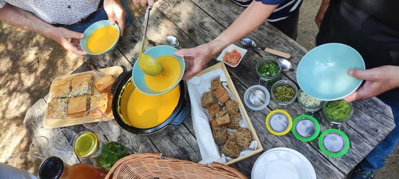 Escape from Tallinn Hike, Swim, Forage & Cuddle Sled Dogs - Visiting Uuejärve Farmhouse and Meeting Sled Dogs