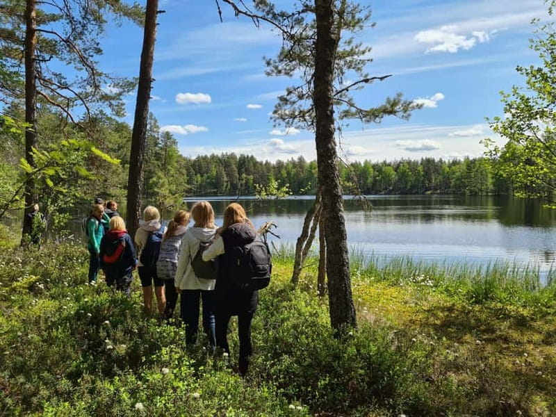Escape from Tallinn Hike, Swim, Forage & Cuddle Sled Dogs - Picnic and Cultural Insights at the Farmhouse